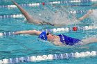 Swimming & Diving vs Babson  Swimming & Diving vs Babson College. - Photo by Keith Nordstrom : Wheaton, Swimming